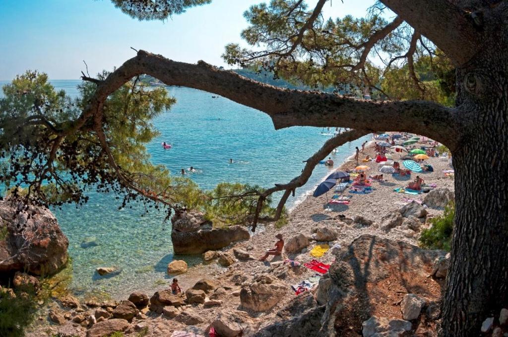 Aurora Seaview Apartment Mlini Εξωτερικό φωτογραφία